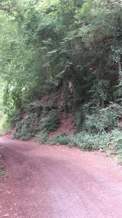Ferienwohnungen "Am Fuerstenweg" Neuwied Luaran gambar